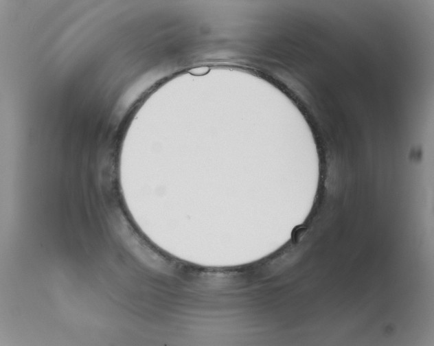 X0000111491458200908251014