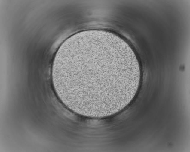 X0000111491459200908251014