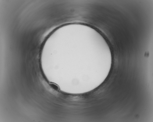 X0000111491460200908251014