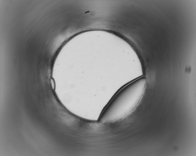X0000111491461200908251014