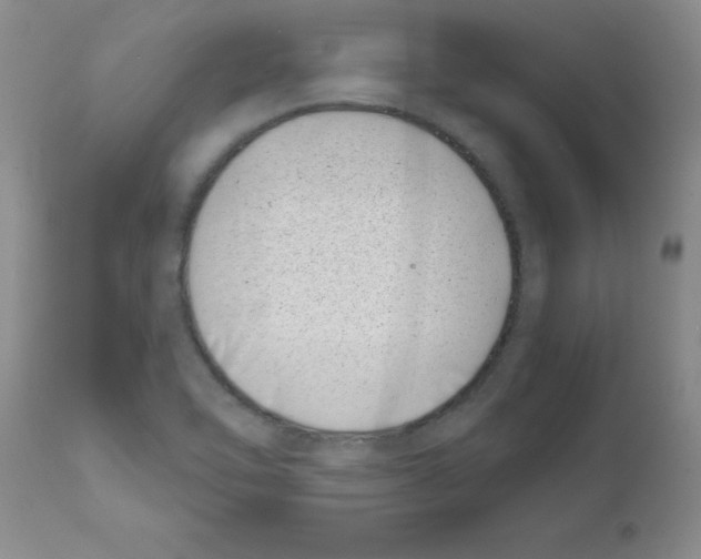 X0000111491462200908251014