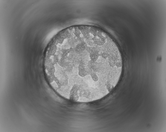 X0000111491463200908251014