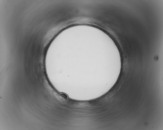 X0000111491464200908251014