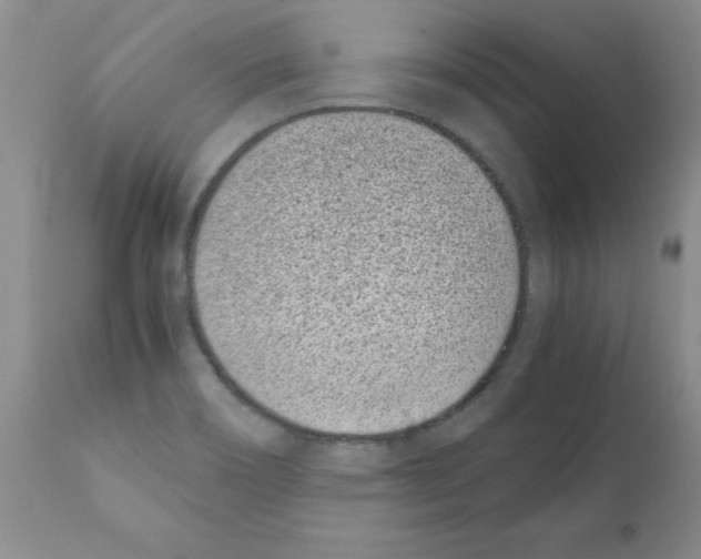 X0000111491466200908251014