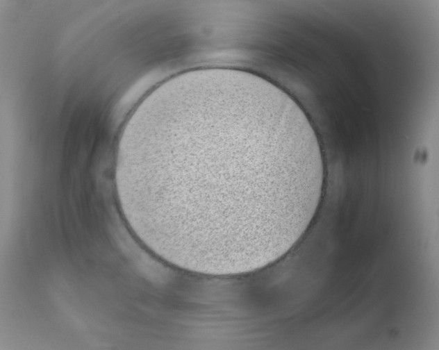 X0000111491470200908251014