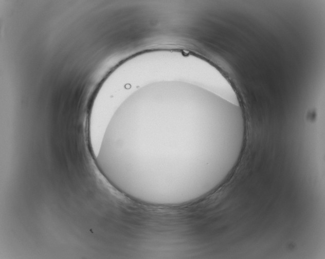 X0000111491472200908251014