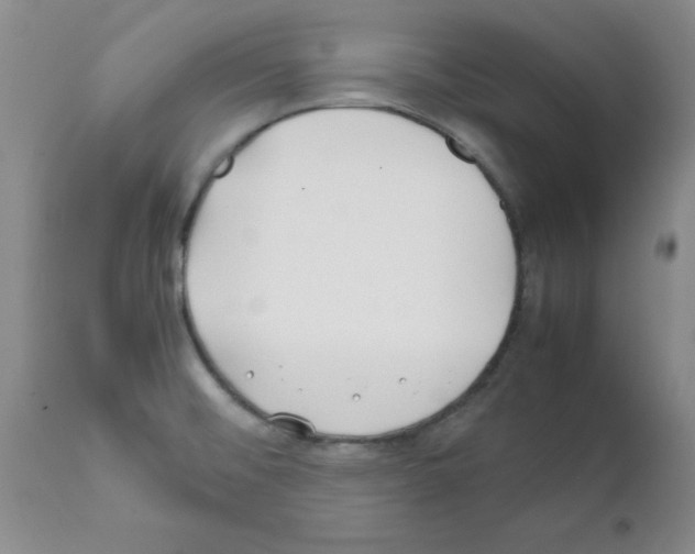 X0000111491476200908251014