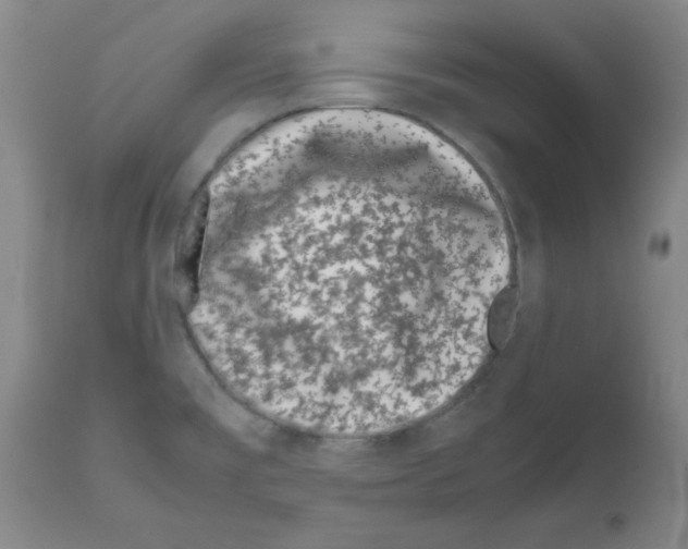 X0000111491477200908251014