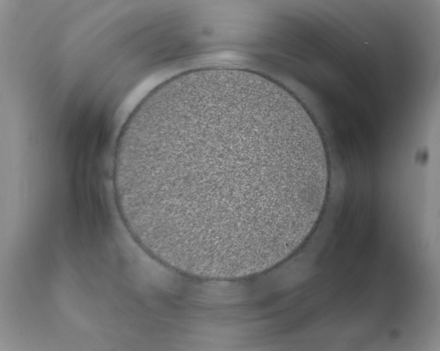 X0000111491478200908251014