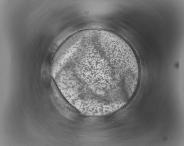 X0000111491481200908251014