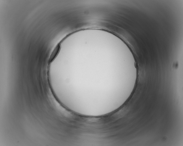 X0000111491484200908251014