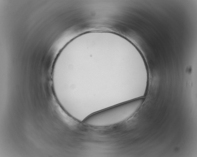 X0000111491485200908251014