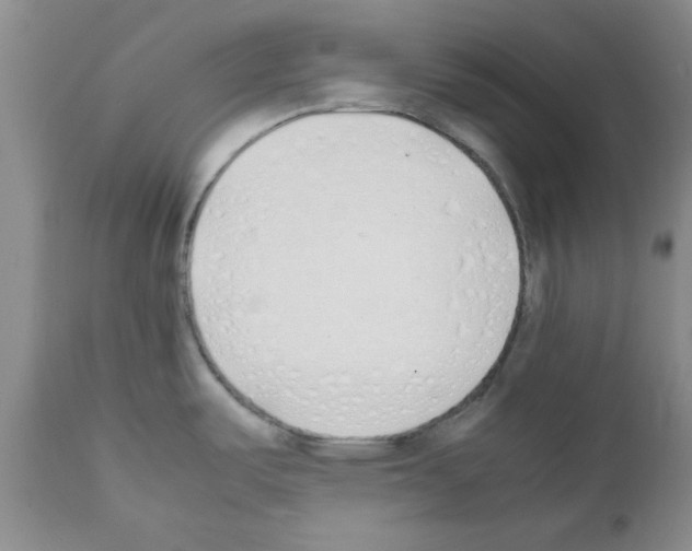 X0000111491487200908251014