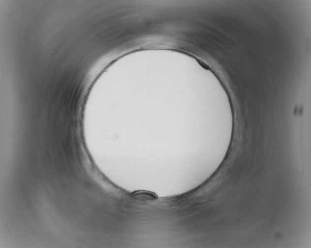 X0000111491488200908251014