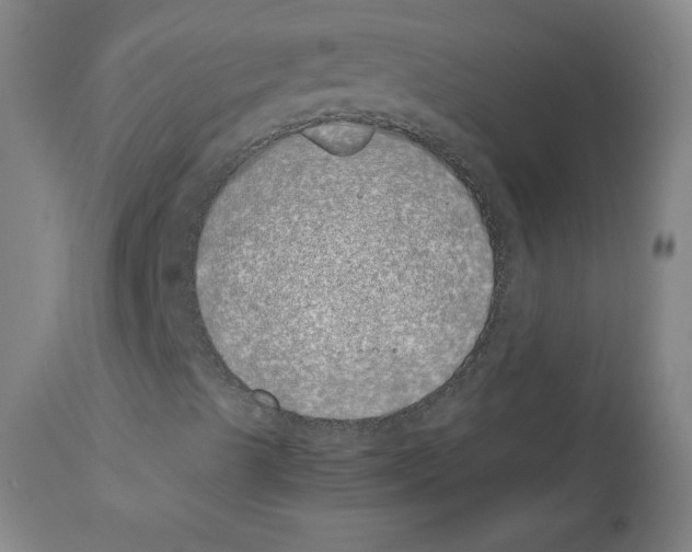 X0000111491489200908251013