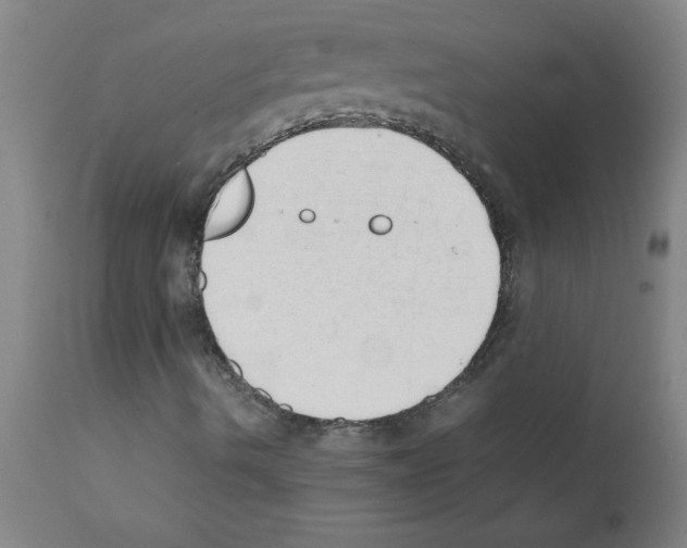X0000111491490200908251013