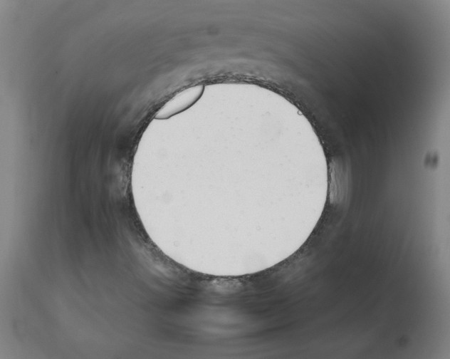 X0000111491491200908251013