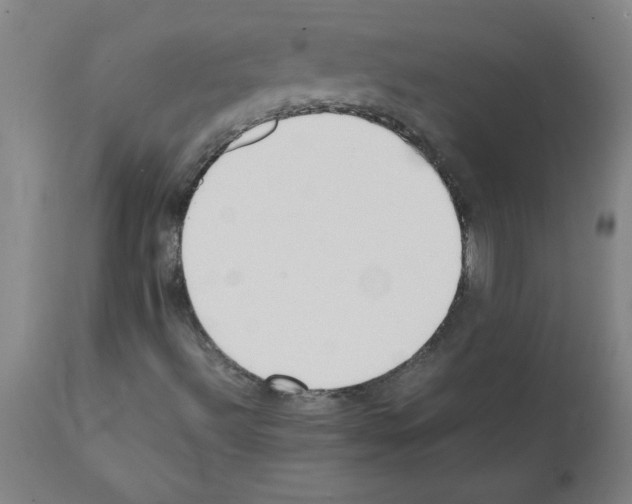 X0000111491492200908251013
