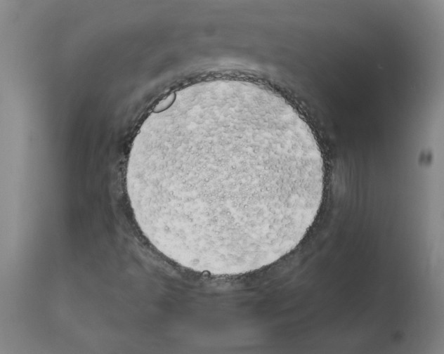 X0000111491493200908251013