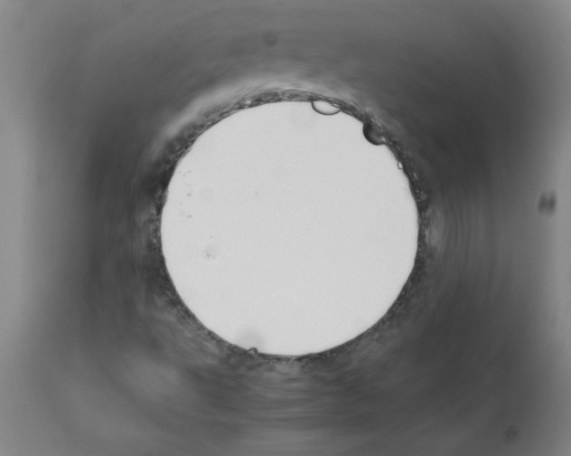 X0000111491495200908251013
