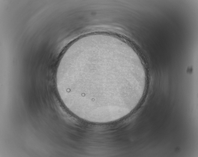 X0000111491497200908251013