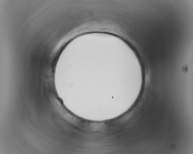X0000111491498200908251013