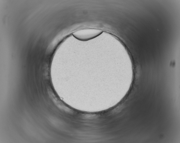 X0000111491499200908251013