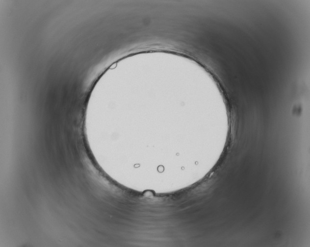 X0000111491500200908251013