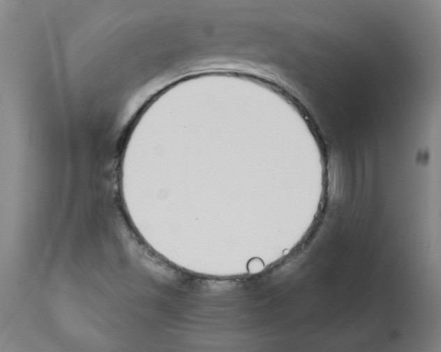 X0000111491501200908251013