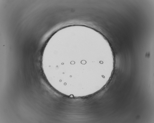 X0000111491502200908251013