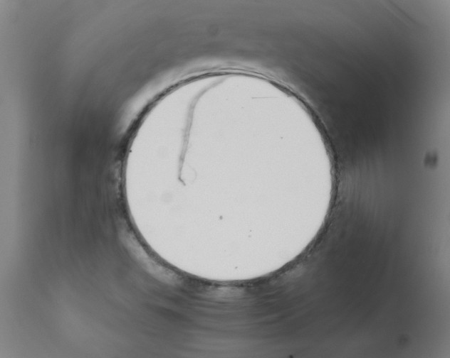 X0000111491503200908251013