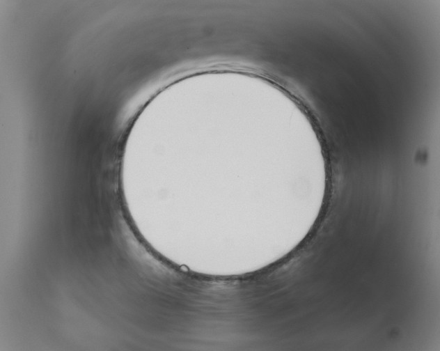 X0000111491504200908251013