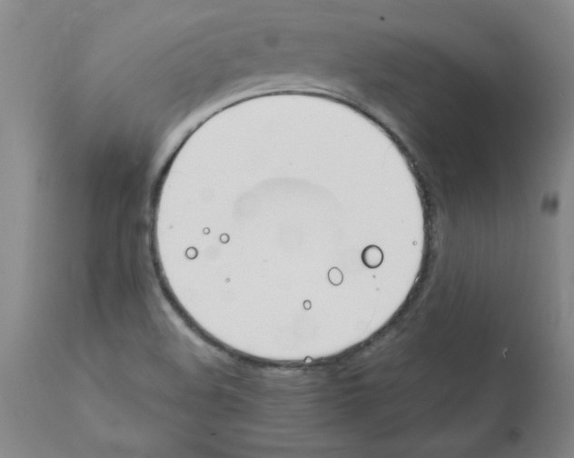 X0000111491508200908251013