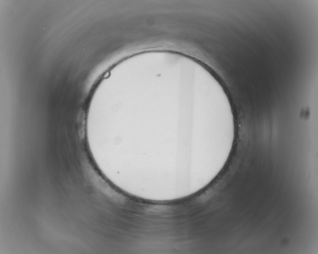 X0000111491510200908251013