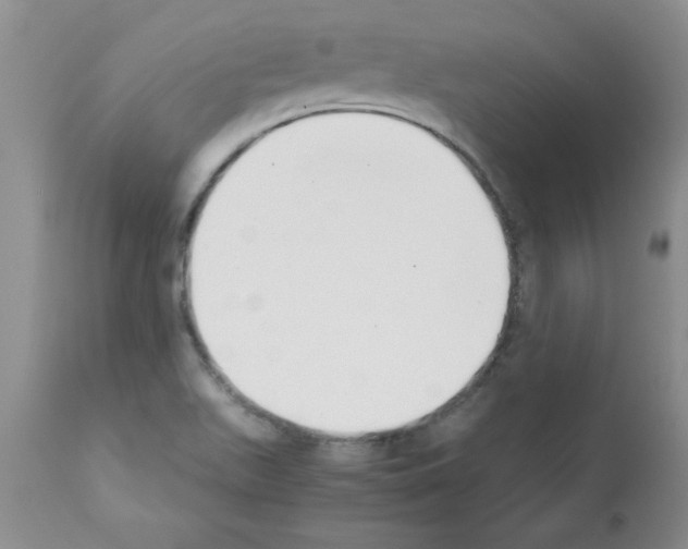X0000111491511200908251013