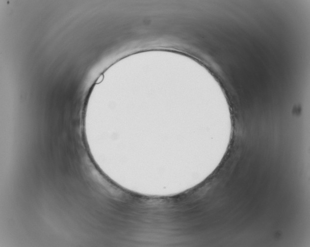 X0000111491512200908251013