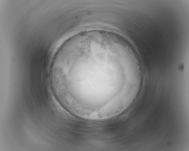 X0000111491514200908251013