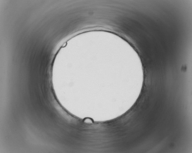 X0000111491516200908251013