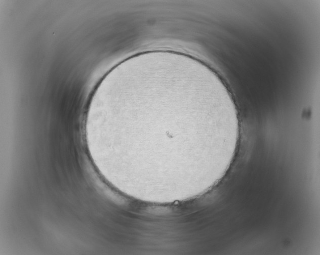 X0000111491517200908251013