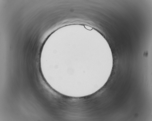 X0000111491518200908251013
