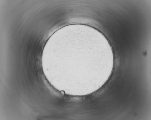 X0000111491521200908251013