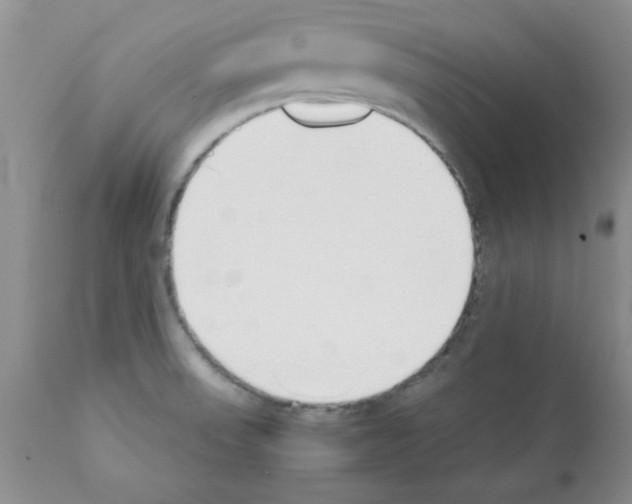 X0000111491523200908251013