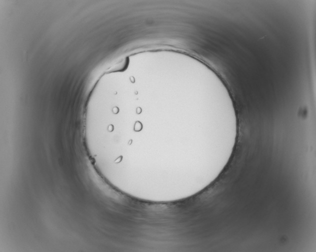 X0000111491524200908251013