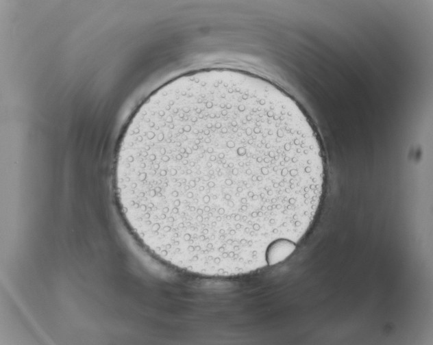 X0000111491525200908251013