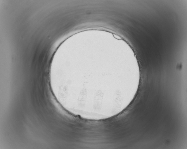 X0000111491526200908251013