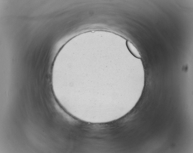 X0000111491527200908251013