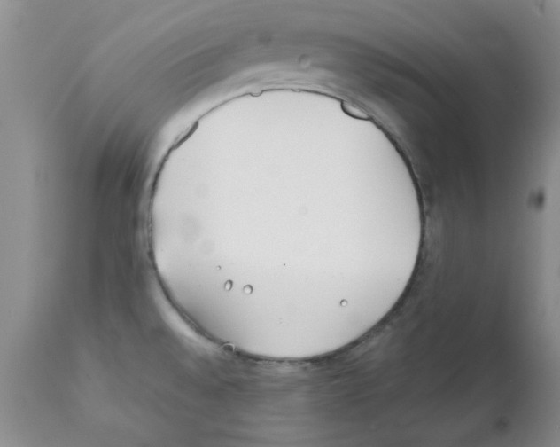 X0000111491528200908251013