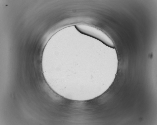X0000111491532200908251013