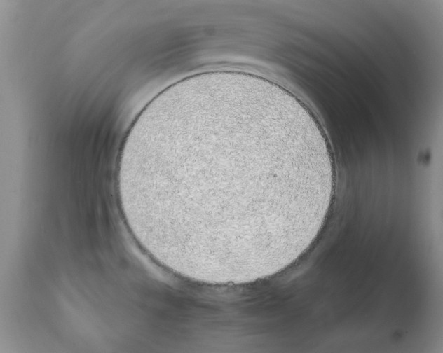 X0000111491533200908251014