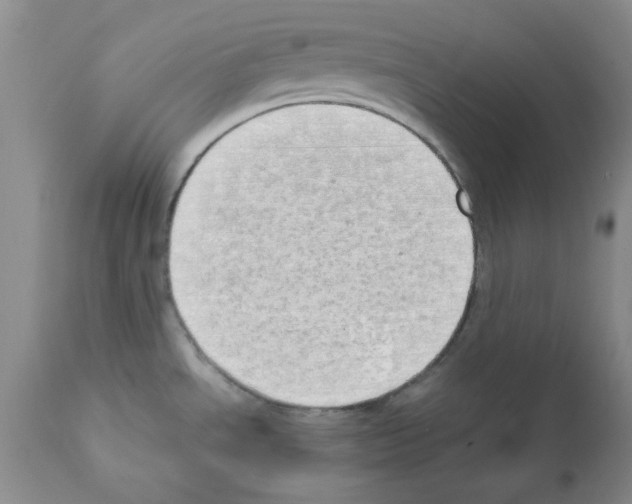 X0000111491534200908251014